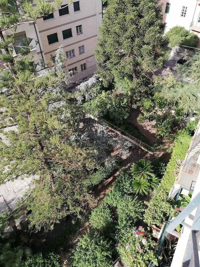 קטאניה 
